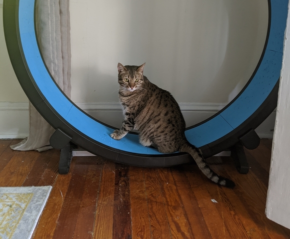 Meet your Posher, Cara - Picture 5 of 6